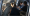 ls 1.webp
