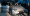 ls 2.webp
