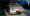 ls 3.webp