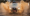 m hero 1.webp