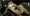 1000096379.webp