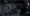 gt 11.webp